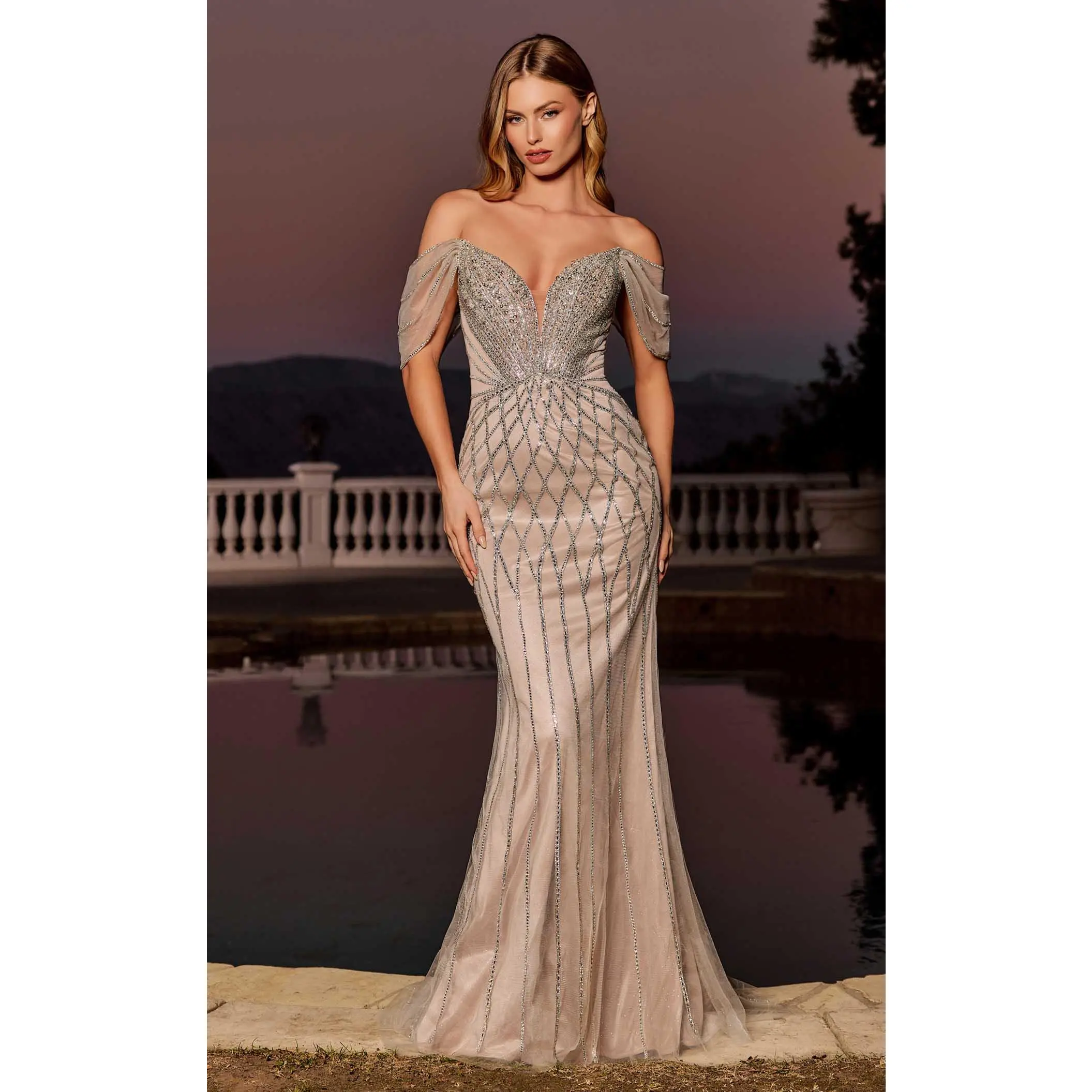 Ladivine CC477 Dress