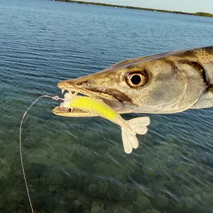 VENSE Rubber Shrimp 3" Pre-Rigged Fishing Lure for Snook Trout Redfish High-Durability Realistic Design-Double Weight-Reinforced Hook