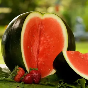 TomorrowSeeds - Sugar Baby Watermelon Seeds -  Mini Picnic Icebox Personal Size Melon Black Garden Watermelons Non GMO Fruit Seed 2024 Season