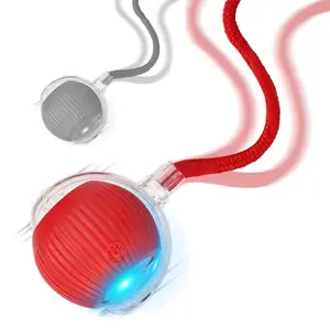 2025 New 2Pack Cat Ball Kitten Toys for Indoor Interactive Kitty Ball Toy Speedy Tail 360° Automatic Rolling for Dog, Cat(Red )