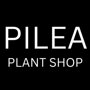 The Pilea Plant Shop
