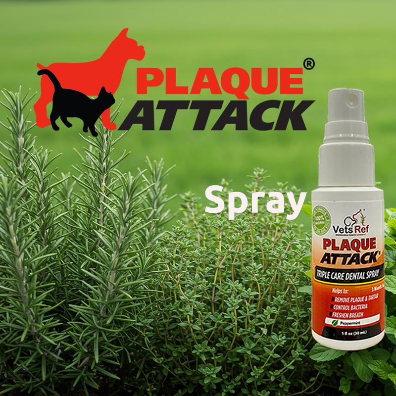 Vets Ref Plaque Attack Pet Dental Spray - 1oz - Multi-Purpose Dental Treatment for Flouride, Calcium & Gingivitis Prevention