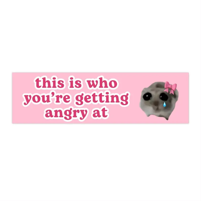 this is who youre angry at | Sad Hamster Car Bumper Sticker | Crying Funny Cute Pink Coquettte Car Sticker Decal | Waterproof Vinyl