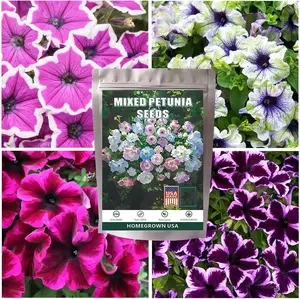 1000 Mixed Petunia Hybrida Flower Seeds for Planting Outdoor Non GMO 1000 Mixed Petunia Hybrida Flower Seeds for Planting Outdoor Non GMO