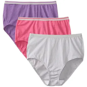 Fruit Of The Loom Womens 3 Pack Heather Brief Panties