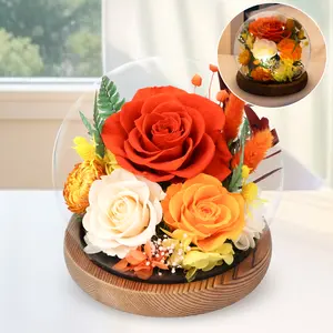 Gcchobv Preserved Flowers in Glass Dome Eternal Flower Everlasting Floral Long-Lasting Real Fresh Flowers Mothers Day Gift Home Decoration
