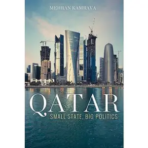 USED-Qatar: Small State, Big Politics by Kamrava, Mehran (Hardcover)