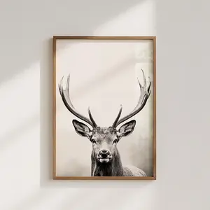 Majestic Deer Poster, black and white photograph of a deer with mighty antlers Z