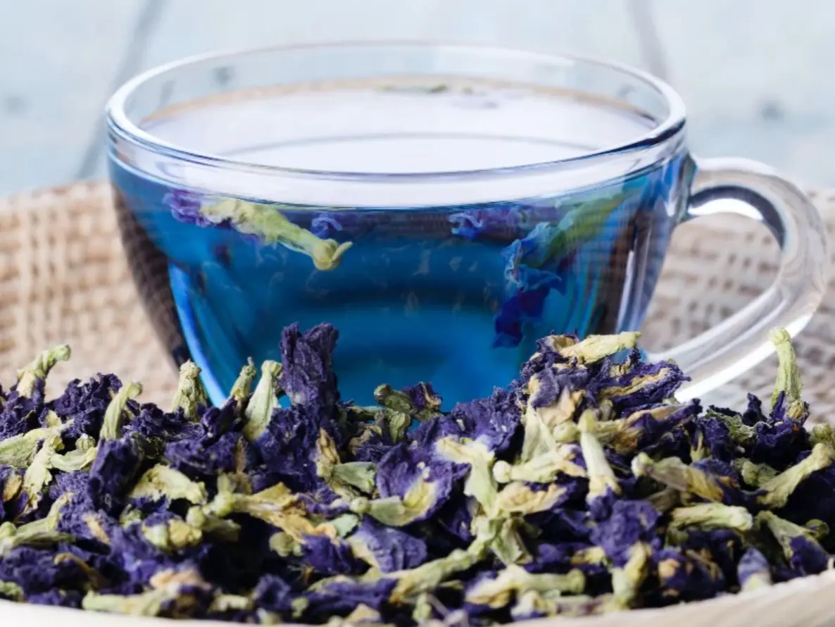 Pure Butterfly Pea Flower Tea Non-GMO Premium Dried Flowers for Blue & Purple Drinks Caffeine-Free Gluten-Free 1.76 Oz Natural Food Dye