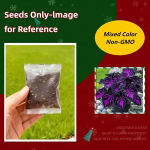 800-Count Garden Flower Seeds — High-Quality, Easy to Grow, Ideal for Pots & Backyard Gardening — Seeds Only, Not Plants