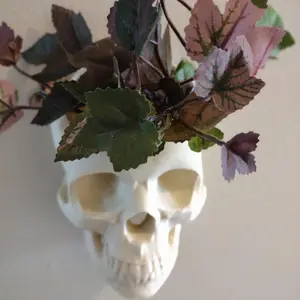 Wall Mounted Skull Planter Great for displaying real or artificial plants.