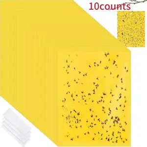 The 10-piece fruit fly, fly, mosquito and pest sticky board is suitable for orchards, vegetable gardens and outdoor living rooms Fruit Fly Traps Size:20cm*10cm