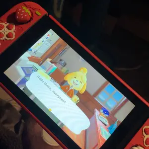review image 11