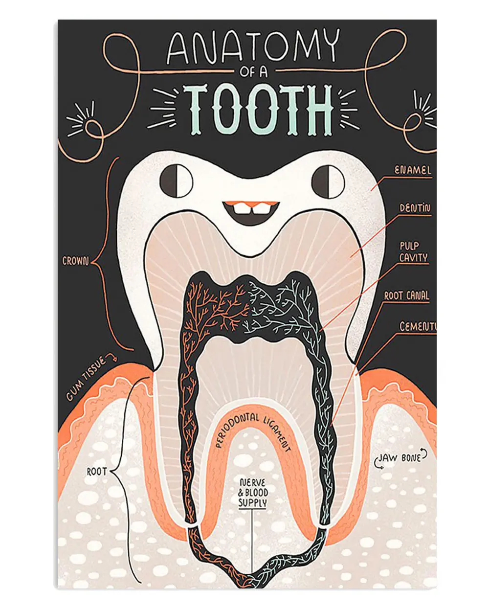 Dental Anatomy Of A Tooth Dentist Poster . Retro Home Decoration