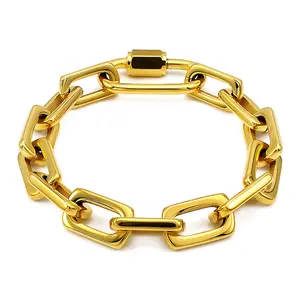 Chunky Carabiner Clasp Paper Clip Bracelet