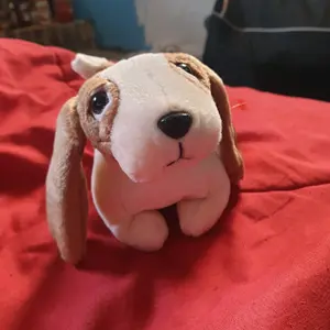 Bear the beanie baby dog