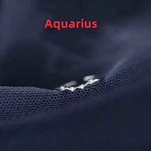 Aquarius Constellation Sign Ring