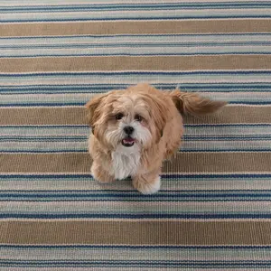 Blue Heron Stripe Handwoven Indoor/Outdoor Rug 10x14