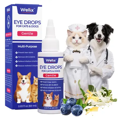 Eye Injuries Is Human Eye Drops Safe For Dogs Eye Allergies Are