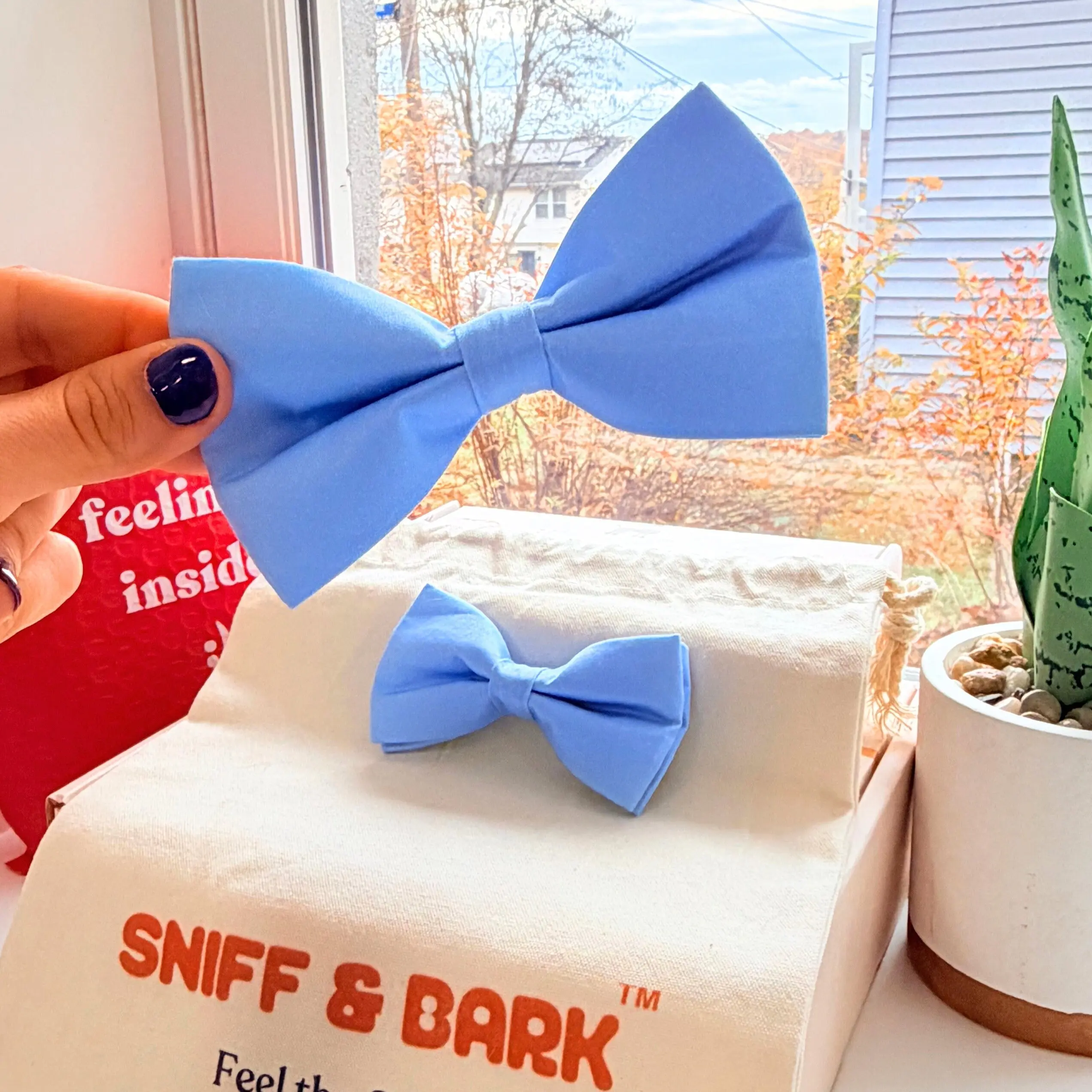 Baby Blue Dappertie™ – Sleek Slide-On Bowtie