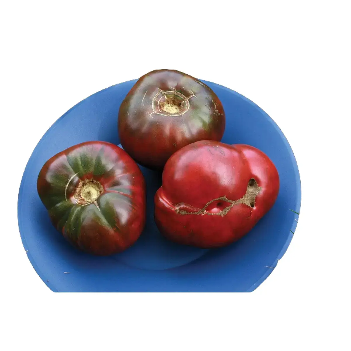 Mai's Family Cherokee Purple Tomato Seeds Heirloom NON-GMO Warm Season 80-90 Days Harvesting Bag Pack for Fresh Eating Salads or Canning