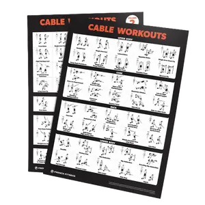 French Fitness Cable Machine Workout Training Charts / Posters (New)