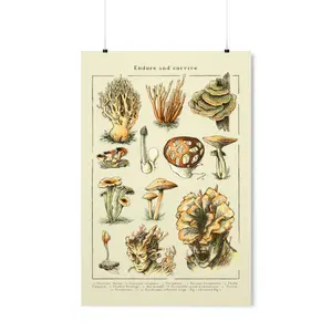 Cordyceps Game Poster, The Last Of Us Art Print - Joel And Ellie - Endure And Survive - Mushrooms Wall Art Poster