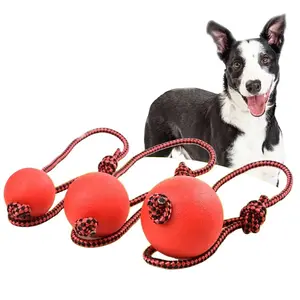 Solid Rubber Dog Chew Tug Training Ball Toys Tooth Cleaning Chew Ball