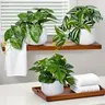 3-Pack Mini Artificial Plants with Pots, 15cm Faux Greenery, Suitable for Home, Office and Windowsill Decor, Potted Decor