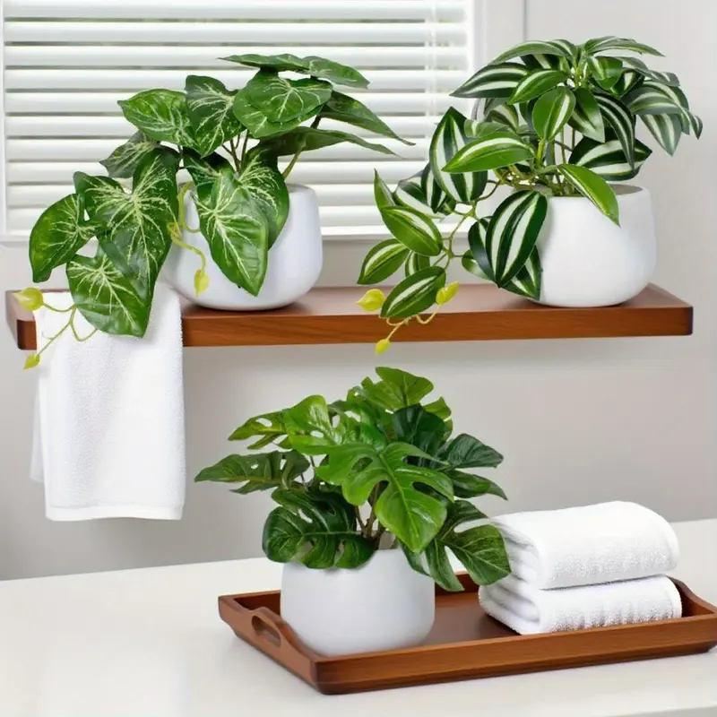 feed for indoor plants Miracle-Gro - Indoor Plant Food Spikes