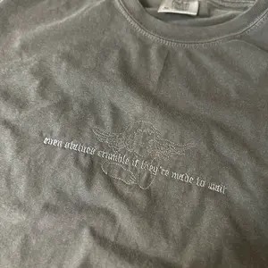 statues crumble embroidered boxy cropped comfort colors t-shirt