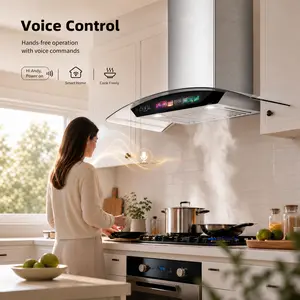 900 CFM Voice/Gesture/Touch Control,Tempered Glass Wall Mount Range Hood 30 inch Range Hood