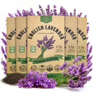 5-Pack English Lavender Seeds