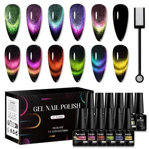 MTSSII 9D Reflective Magnetic Gel Nail Polish Set, 12-Color Rainbow Double Light Magnetic Gel with Black Base Gel, Starry Sky Effect Cat Eye Long Lasting Gel Nail Art Gift, Perfect Creative Gift for Nail Manicure Lover