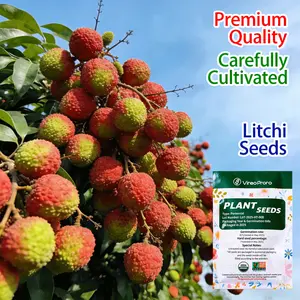 Lychee Seeds for Home Gardening – Easy-to-Grow, Beginner Friendly Fruit Tree Seeds for Backyard, Patio, Balcony, or Container Planting – Sweet Juicy Tropical Fruit