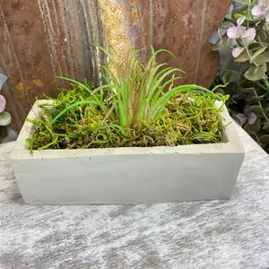 Modern Cement Rectangular Planter with Drainage Succulent Airplants Cactus Flower Garden Vessel Windowsill Pot Plant Lover Gifts for Home Decor