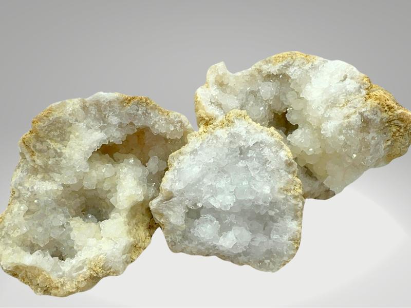 Fossil Mining Bucket - Gallon Bucket - 10-12 lbs Total - Over 12 Different Types of Fossils and Natural Crystals