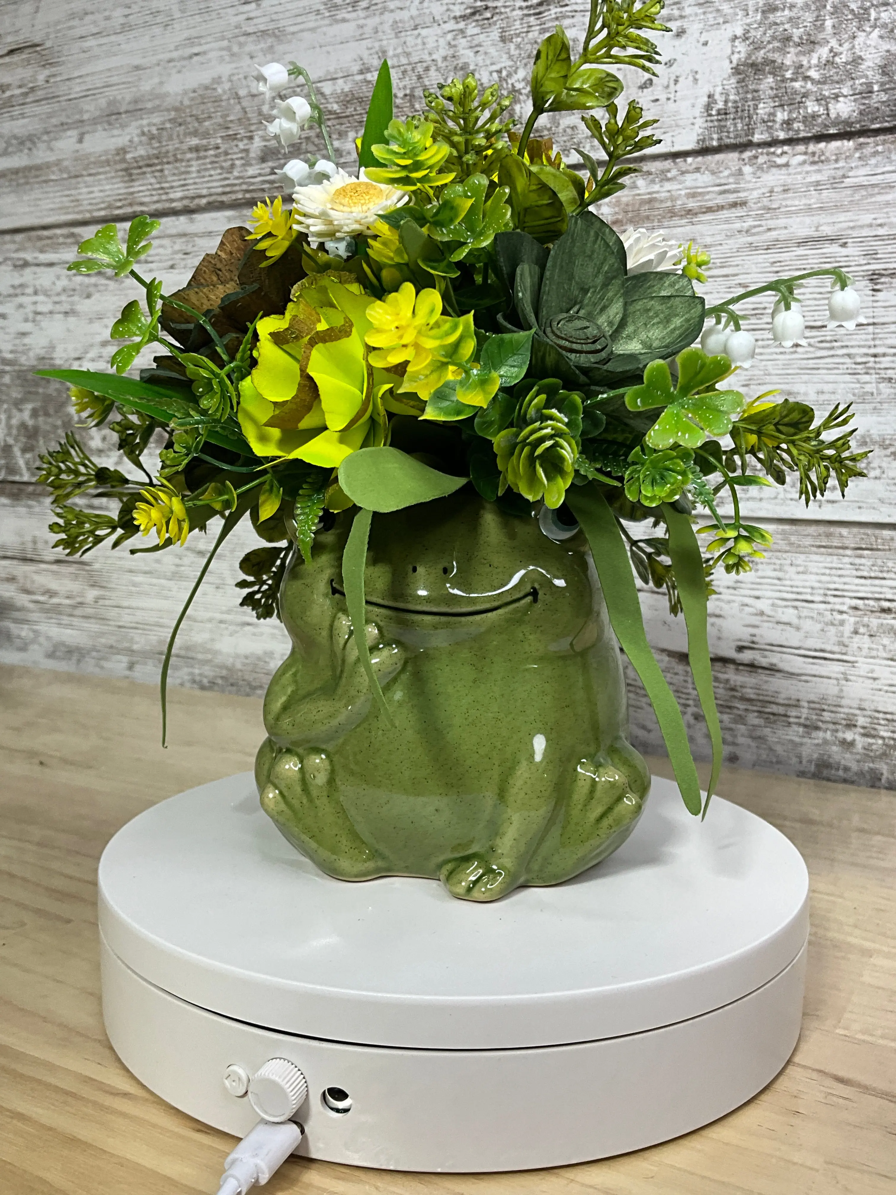 Green Sola Wood Flower Arrangement in Ceramic Frog Vase