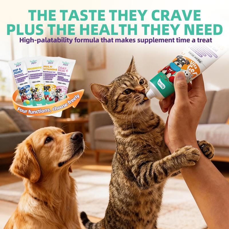 Hegenpet Concentrated Energy Supplement Paste (4Flavors) Premium Nutritional Gel for Picky Eaters - BoostImmunity & Vitality for Dogs & Cats