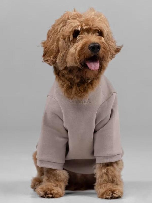 Comfrt | Signature Paw Hoodie  | For Stress & Anxiety