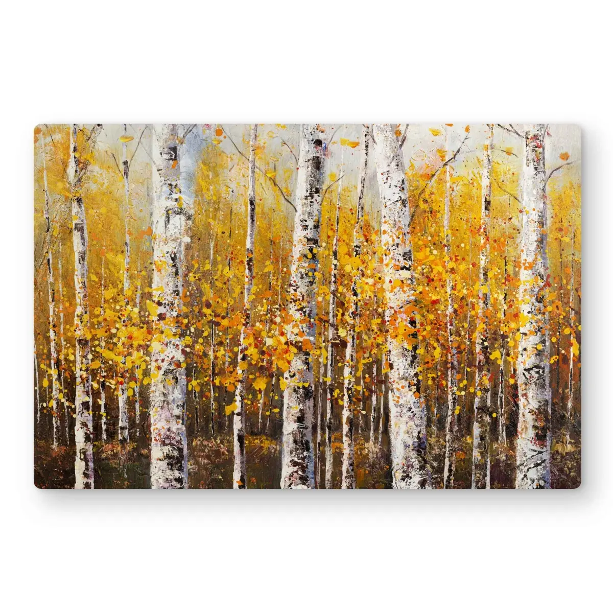 Begin Home Decor C1MP12188XYUA9 12 x 18 in. Birches by Sunny Day Wall Art - Trees Livingroom Metal Print Decor