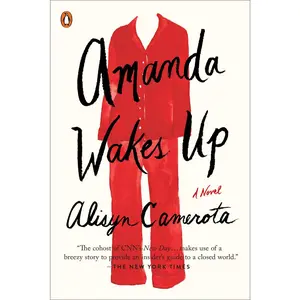 USED-Amanda Wakes Up by Camerota, Alisyn (Paperback)