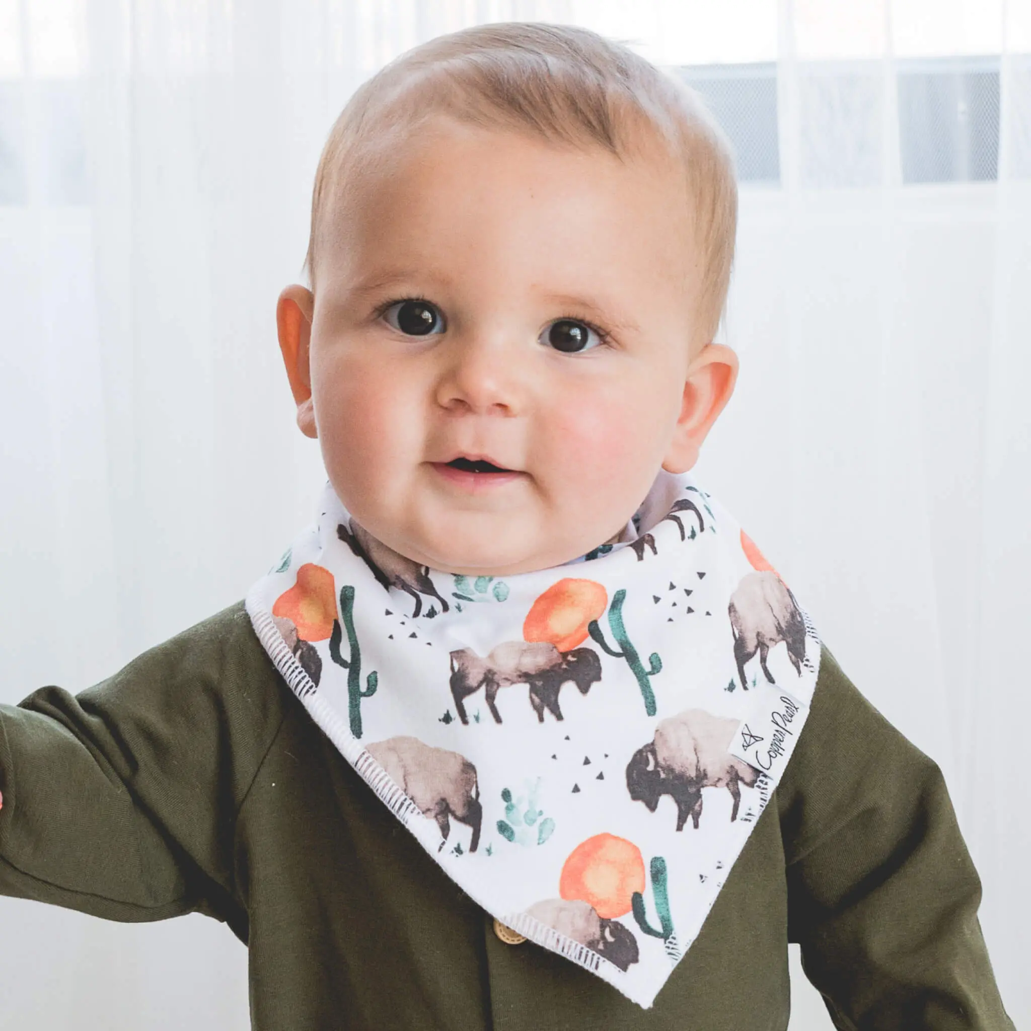 4 Pack Baby Bandana Bibs - Bison