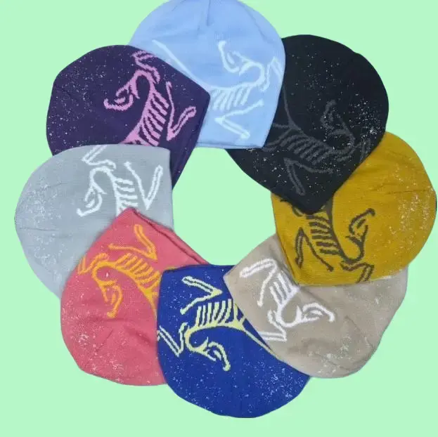 Arc’teryx Bird Head Toque Beanie Beige Wool Knit Winter Hat Unisex full collection