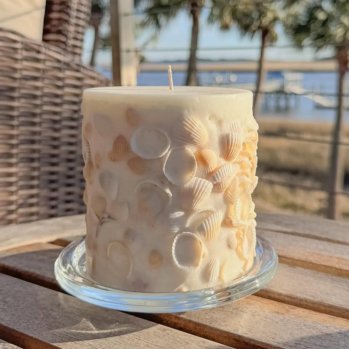 Seashells Inclusion Candle