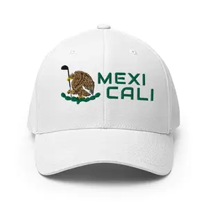 Mexicali Modern
