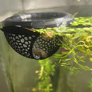 Betta Fish Hammock & Floating Feeder Ring, Safe Eco-Friendly Aquarium Hiding Cave, Perfect for Betta Fish, Enhances Aquatic Environment