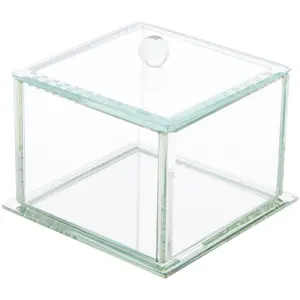 Bard's Clear Beveled Glass Display Box for Jewelry or Keepsakes