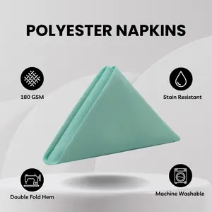 20 inch Polyester Cloth Napkins Tiffany (Pack of 10)