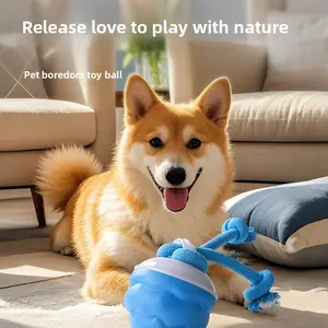 Fur-Bulous Fun: Smart Gravity Bouncy Ball